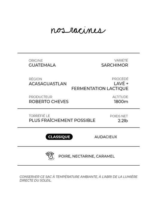 NOS RACINES (Guatemala)
