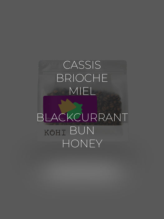 ROYAL CASSIS (Kenya)